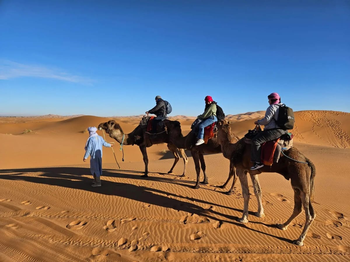 day tour Marakech