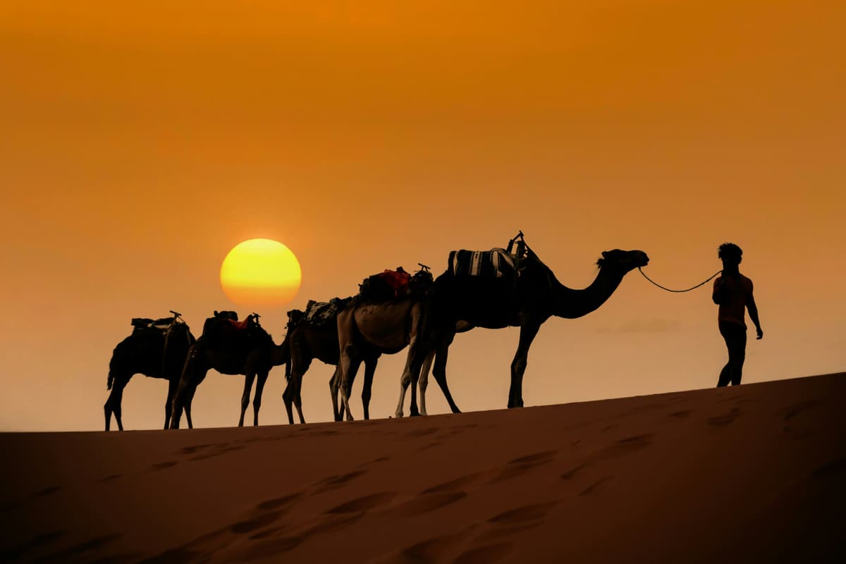 Todra Gorges and Dades Valley landscapes during a 7 days Morocco desert tour from Agadir